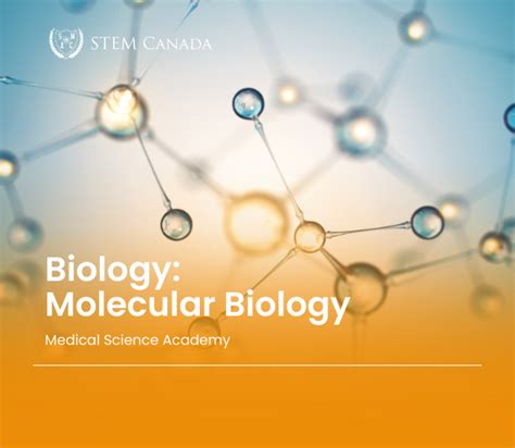 Image result for Molecular Bioengineering