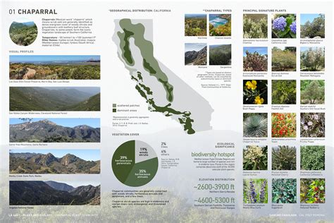 Infographic: Chaparral Plant Community on Behance