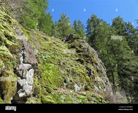 Opal Creek Wilderness in Oregon Stock Photo - Alamy