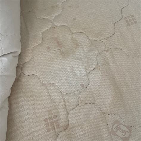 FLITWICK MANOR - Hotel Reviews, Photos, Rate Comparison - Tripadvisor