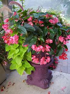 Garden In Containers by This Garden Cooks Back To Basics Design A Great Container Garden In Containers