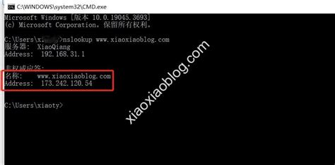 Server IP List 的图像结果