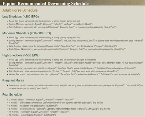 Best Horse Wormer 2020: Summer, Spring, Fall, Winter, Equine Dewormer