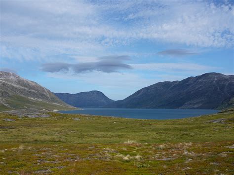 Ecosystem Of Greenland