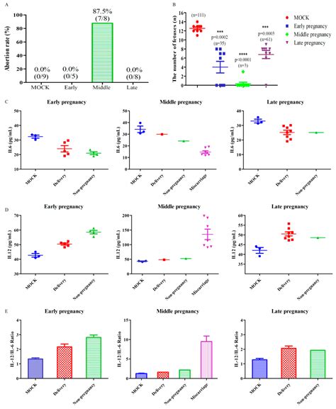 Successful Establishment of Hepatitis E Virus Infection in Pregnant ...