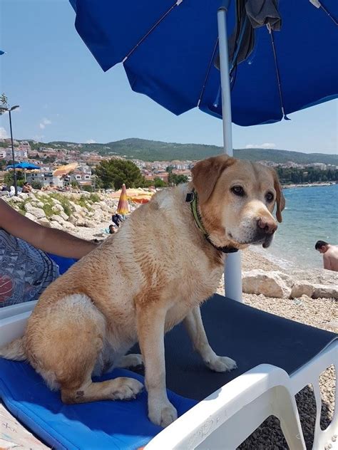 Monty's (Strand) - Crikvenica