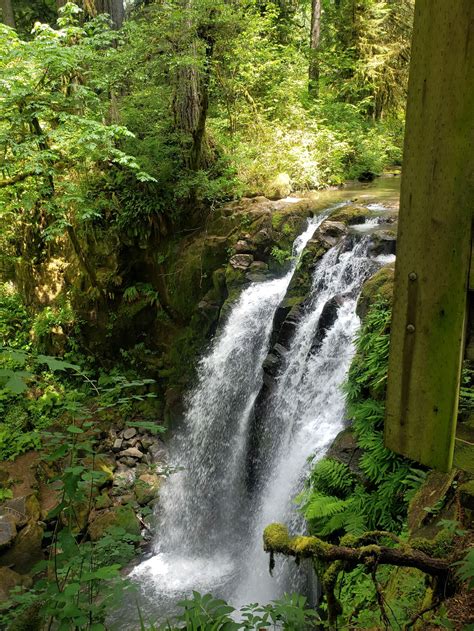 McDowell Creek Park - Exploring with Alice
