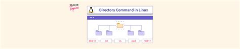 Image result for Linux Root Directory Command