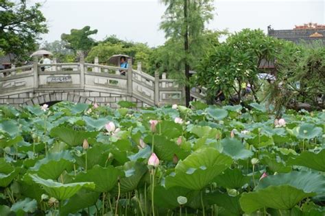 10 BEST Places to Visit in Huizhou - UPDATED 2020 (with Photos ...