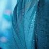 why do light insect blow???explain it . - Brainly.in