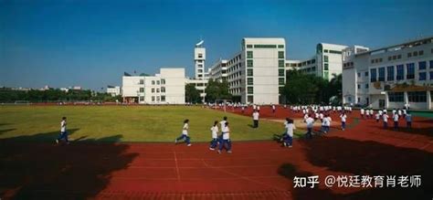 提供2760个学位！东莞第一所未来学校将建在这里！_规划