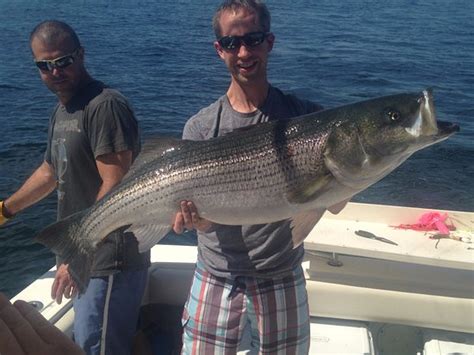 Plymouth Charters - All You Need to Know BEFORE You Go