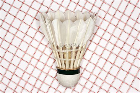 Badminton Racket and Shuttle 的图像结果