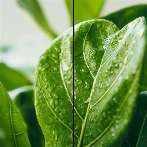 Toronto's Premier Photo Lab - Graination