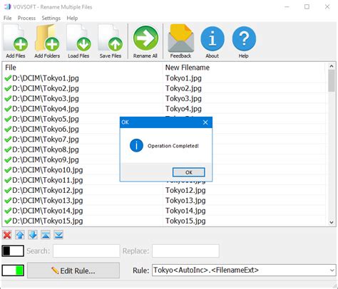 Multiple File Rename Program 的图像结果