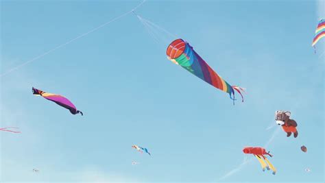 Image result for Visual Studio Data Connection