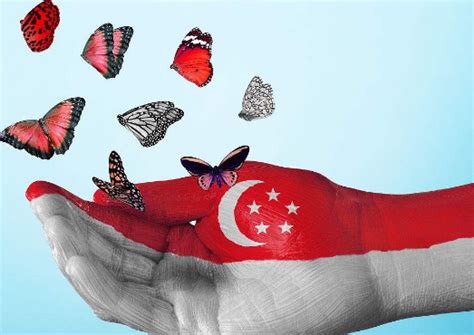 新加坡的国籍、永居身份、绿卡这三者的本质区别在哪里？ - 【方舟天下】
