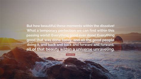 Joseph Fink Quote: “But how beautiful these moments within the dissolve ...