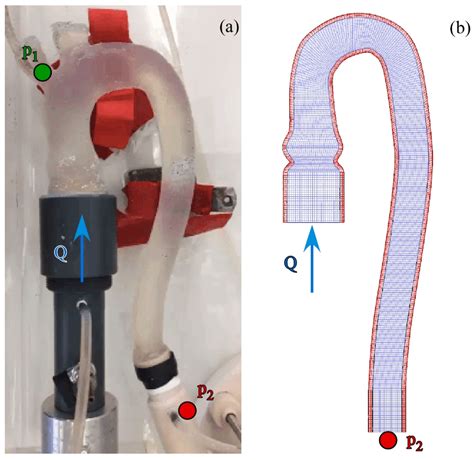 Distensibility of Deformable Aortic Replicas Assessed by an Integrated ...