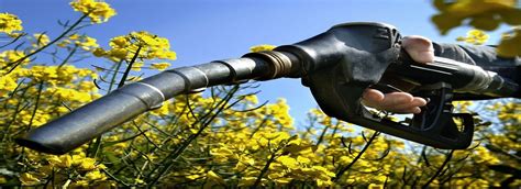 Global Bioethanol Market Analysis of Industry Share, Challenges ...