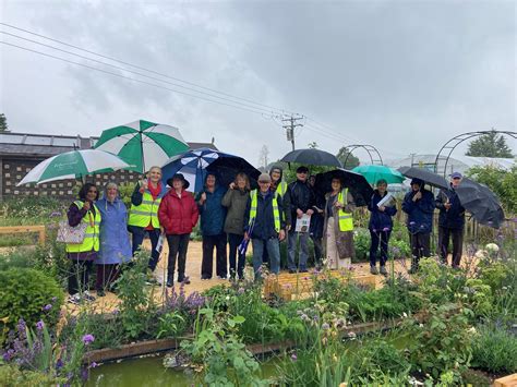 Memory Pathways 的图像结果