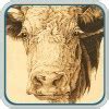 Animal Portraits Pyrography E-Project Bundle – Classic Carving Patterns