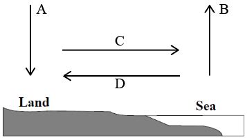 [Solved] The drawing shows a cross section where the land meets the sea ...