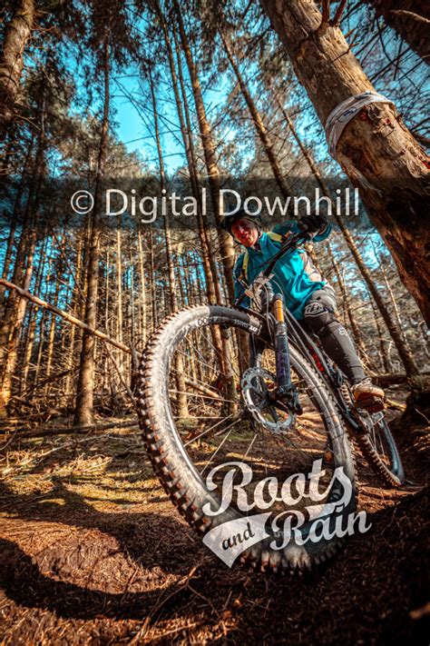 Untagged photo - Roots & Rain