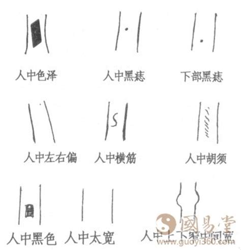 面相人中相法，面相学人中相法绝学_人中_国易堂周易算命网