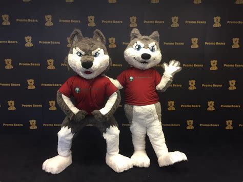 Custom Mascot in Minnesota - Promo Bears USA