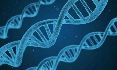 读创--【原创】满足百万级高深度全基因组测序需求，华大智造打造“大人群基因组学一站式解决方案”