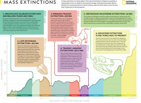 Extinction Meaning Extinction: The Future Of Humanity A Shorty Study