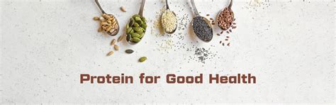 Why is Protein Necessary for Good Health? – NAKPRO NUTRITION