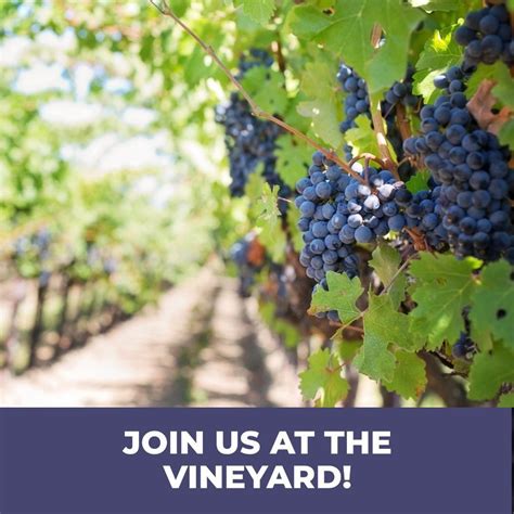 Touch from the Lord - at the Vineyard Church in Wheaton, Vineyard ...