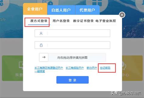宁波电子税务局登陆密码是多少（个体户支付宝怎么开电子税务）-秒懂财税