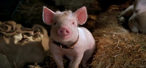 [电影]《小猪宝贝2：小猪进城》1080p|4k高清-迅雷BT下载网