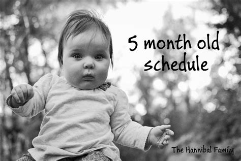The Hannibal Family: 5 month old schedule