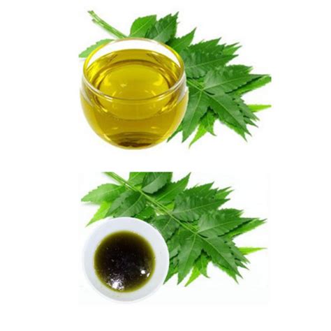 Farm Equipments & Accessories | BM MUSHROOM