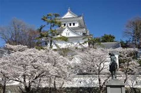 Ogaki Castle, ogaki, Japan - Top Attractions, Things to Do & Activities ...