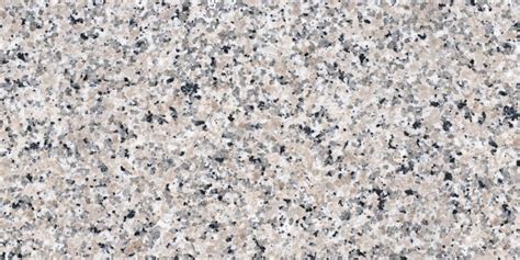 TL 03658 C Rasta Penny 1200 x 600 mm Lacquer Matte Finish Vitrified ...