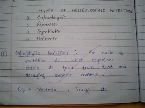 write a project on heterotrophic mode of nutrition in plants - Brainly.in