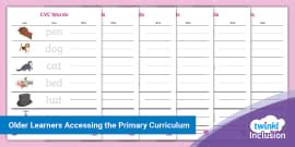 CVC, CCVC and CVCC Worksheet | English Worksheet - Twinkl