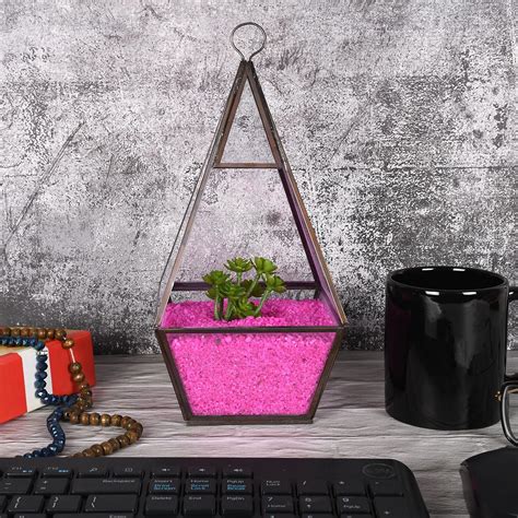 HINS Terrarium For Sugar Succulent Plants, Cacti and Air Plants For ...