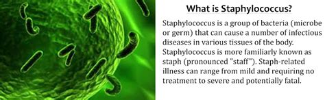 Staphylococcus Test Kit : Amazon.in: Industrial & Scientific