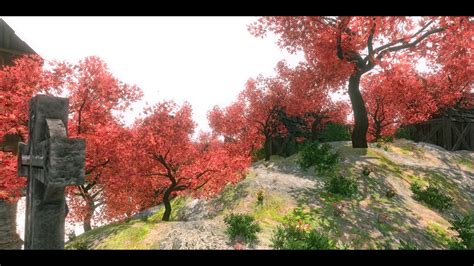 Image result for Nature Motion Graphics