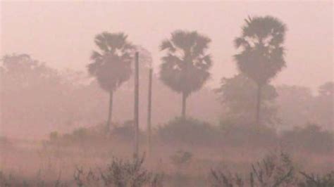 In Pics: Winter Scenes As Fog Envelopes Several Parts Of Odisha