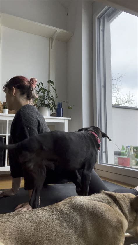 Learning Middle Splits 的图像结果