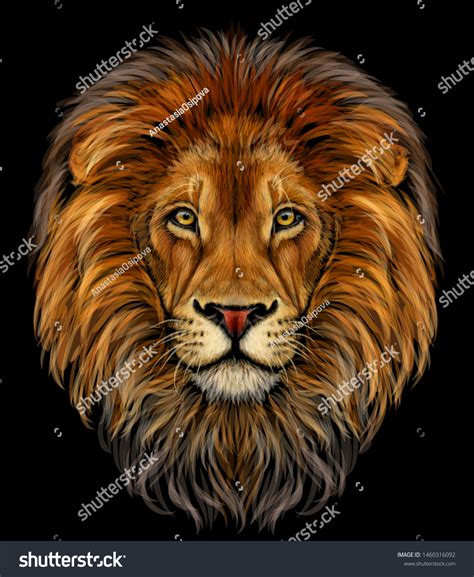 Lion Color Realistic Portrait Lions Head Stock Vector (Royalty Free ...
