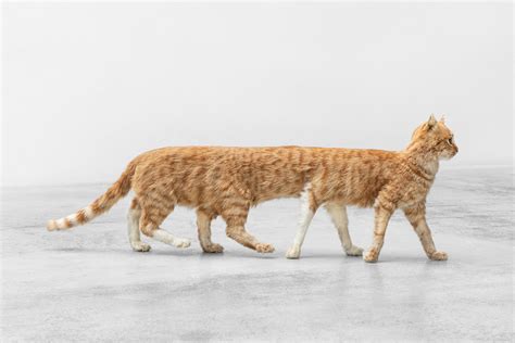 Eva & Franco Mattes - HEK