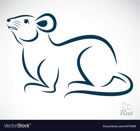 Image result for Rat Python Vector